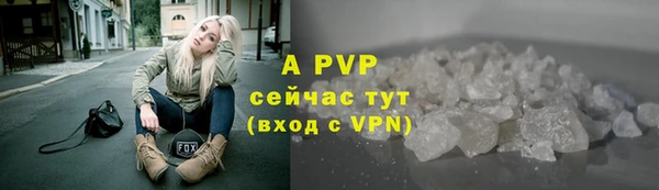 ПСИЛОЦИБИНОВЫЕ ГРИБЫ Гусиноозёрск