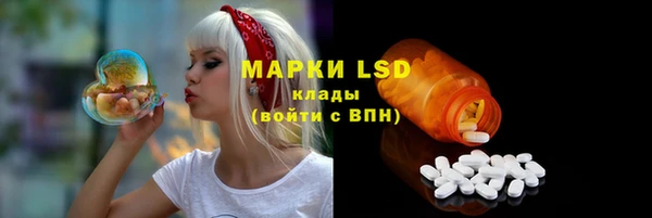 ПСИЛОЦИБИНОВЫЕ ГРИБЫ Гусиноозёрск