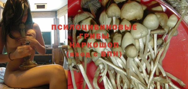 мяу мяу кристалл Гусев