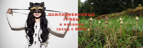 мяу мяу кристалл Гусев